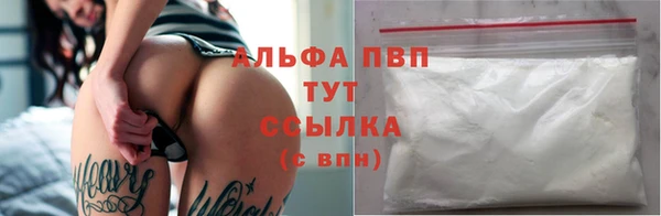 индика Арсеньев