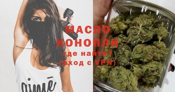 индика Арсеньев