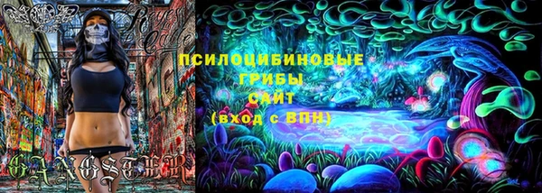 индика Арсеньев