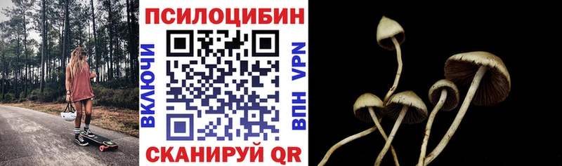 где продают   Полевской  Галлюциногенные грибы мухоморы 